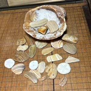 Large Heavy Clam Shell w Natural Variety Beach Bath Mix Crafts Seashell 20.8oz